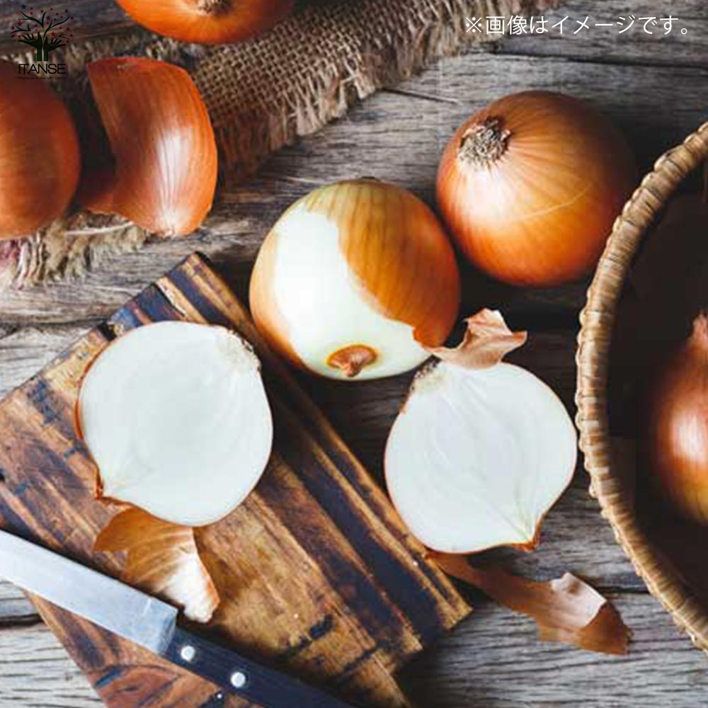 玉ねぎ抜き苗 品種: サクラエクスプレス2(極早生)【野菜の苗 約50本/束】