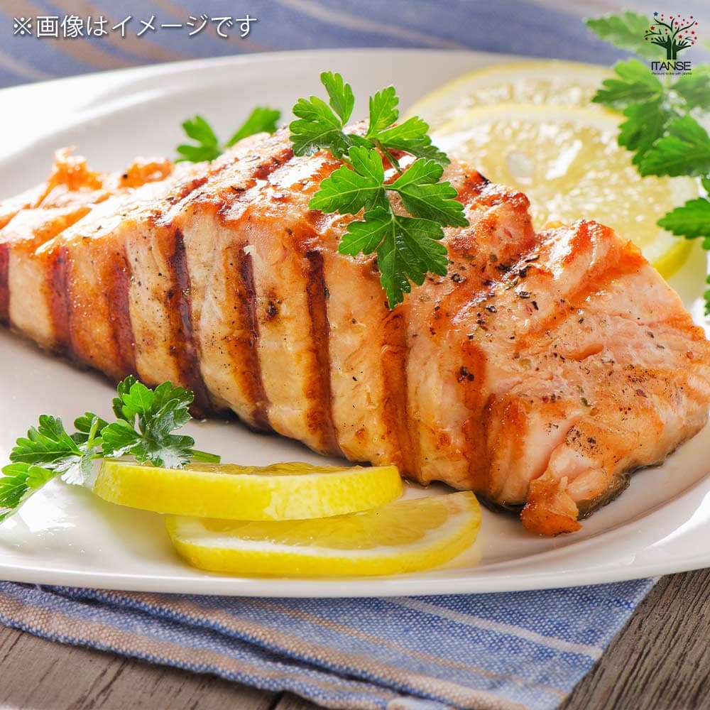 リスボンレモン 根巻き ルートバック入り【果樹苗木/7号/1個売り】