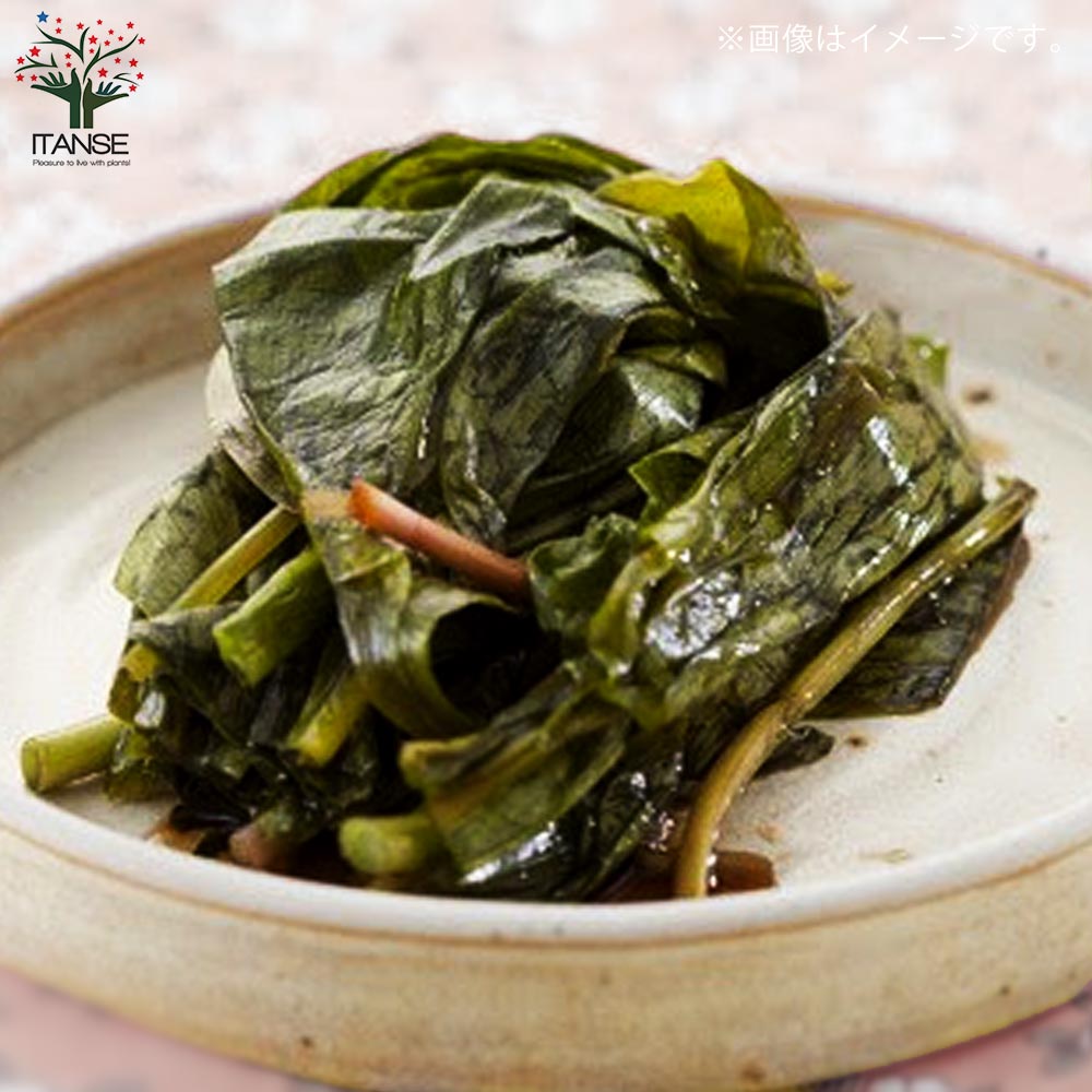 行者にんにく(ギョウジャニンニク・行者大蒜) 3株パック【袋詰め野菜球根 3株入り/1個売り】