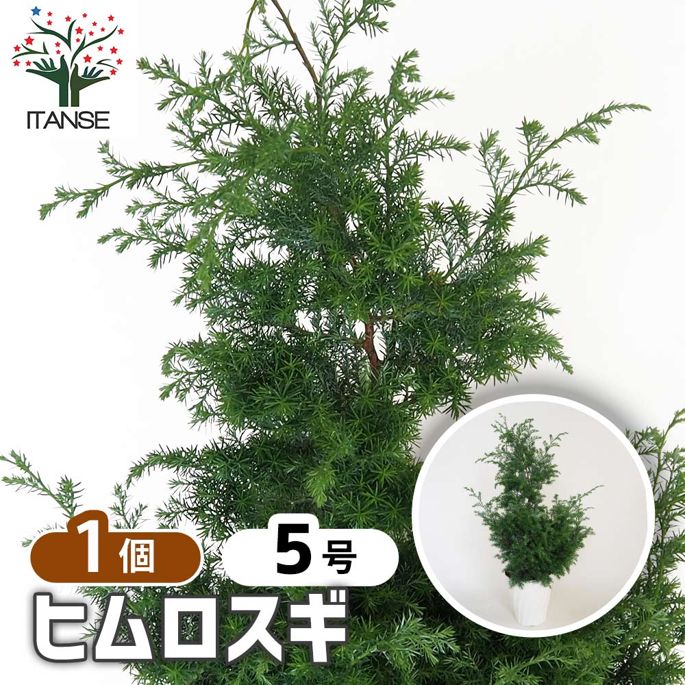 ヒムロスギ☆ご予約お問い合わせページ ヒムロスギ☆ご予約お問い合わせページ お問い合わせフォーム 作り方①