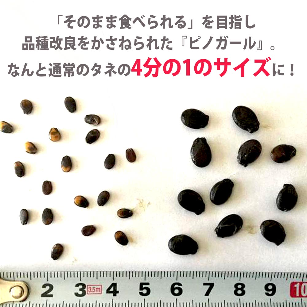 ２・福島県・TETUKO・ピノガール 小玉すいか ピノガール2玉(約2kg×2玉)