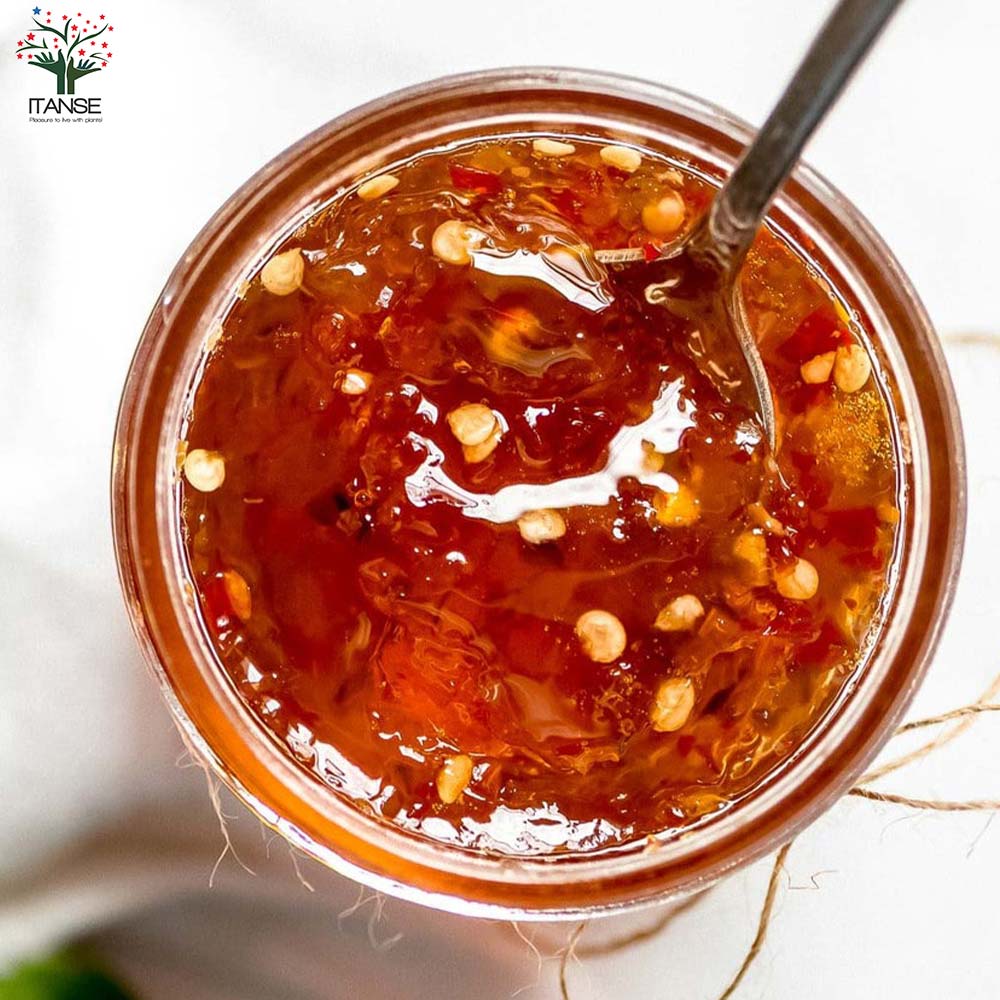 とうがらしの苗 ハラペーニョ、タバスコ、沖縄島とうがらし／辛味とうがらしの苗 お得3種3個セット【野菜の苗 10.5cmポット 自根苗】