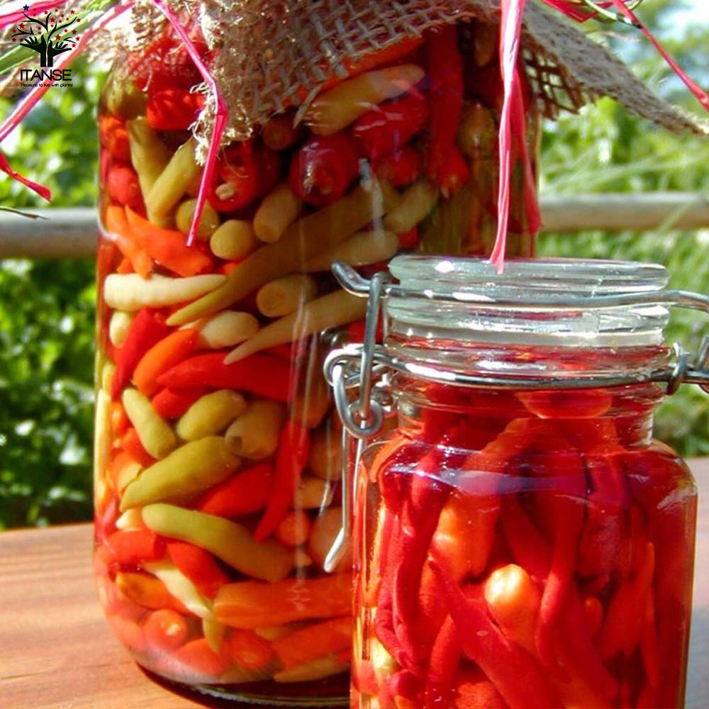 とうがらしの苗 ハラペーニョ、タバスコ、沖縄島とうがらし／辛味とうがらしの苗 お得3種3個セット【野菜の苗 10.5cmポット 自根苗】