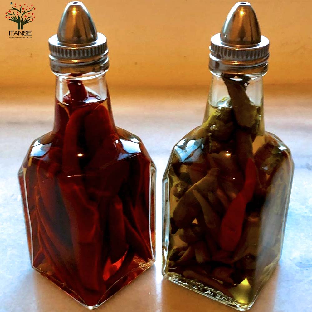 とうがらしの苗 ハラペーニョ、タバスコ、沖縄島とうがらし／辛味とうがらしの苗 お得3種3個セット【野菜の苗 10.5cmポット 自根苗】