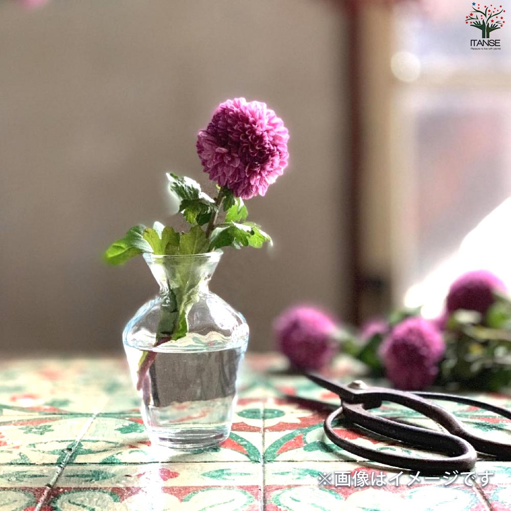 小さなガラス花瓶 タイニーフラワーベース Lサイズ(No.3) 色：クリア