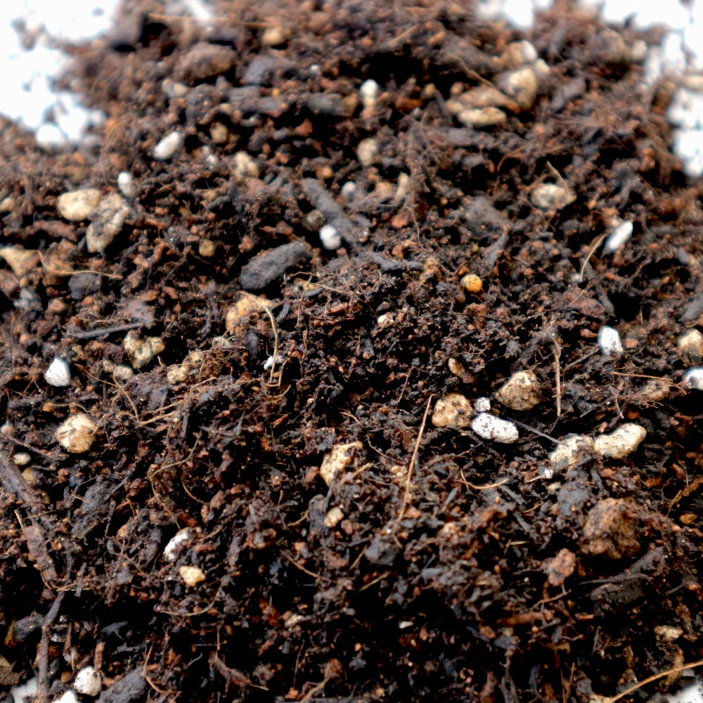 花と野菜の培養土 ふっかふっか仕立て【14L袋】