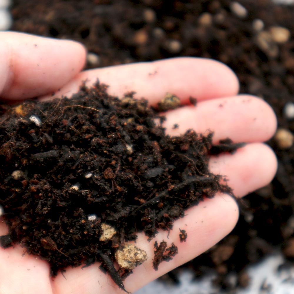 花と野菜の培養土 ふっかふっか仕立て【14L袋】