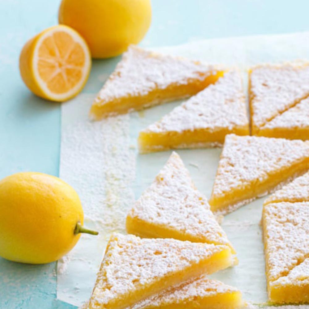 早成り大実レモン マイヤーレモン【果樹苗 2年生 接木苗 21cmポット／1本】