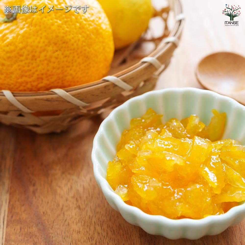 一才ゆず 花ユズ 黒鉢 【果樹の苗木 8号／1個売り】