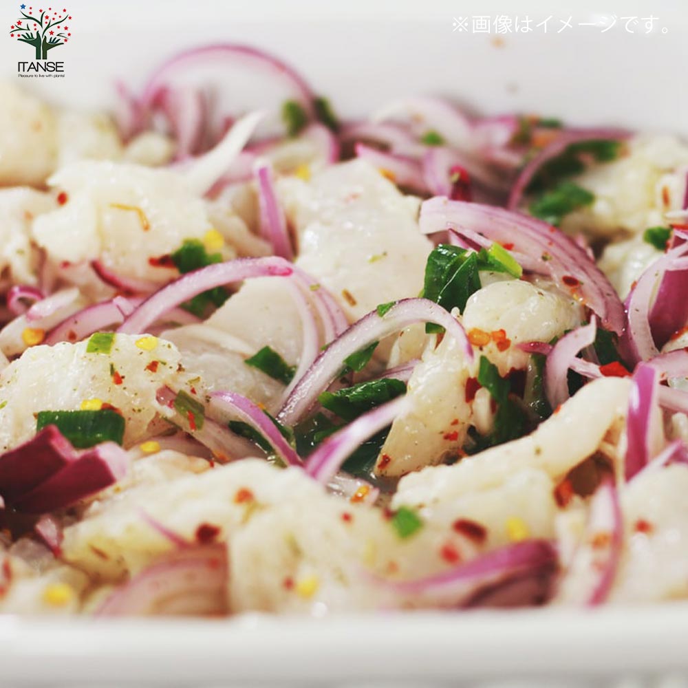 玉ねぎ抜き苗 品種：くれない赤タマネギ(中生)【野菜の苗 約50本／束】