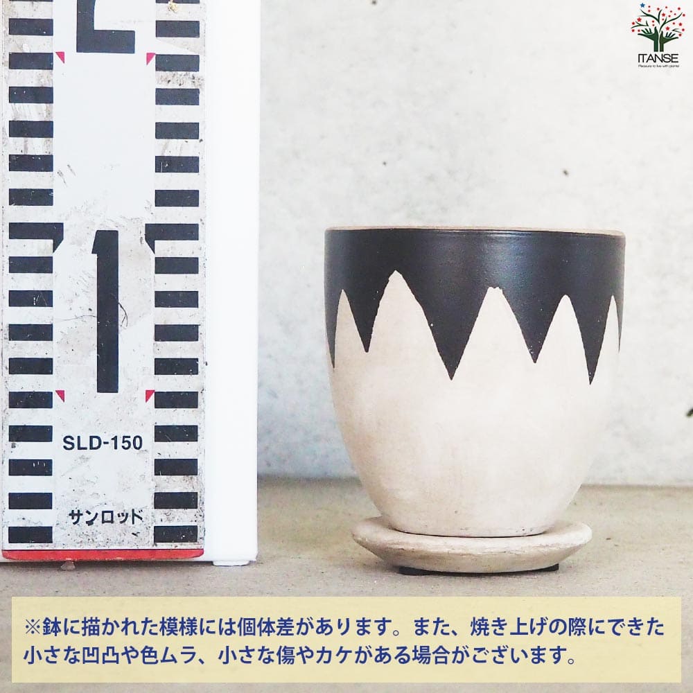 皿付陶器鉢 白峰【資材 9cm】