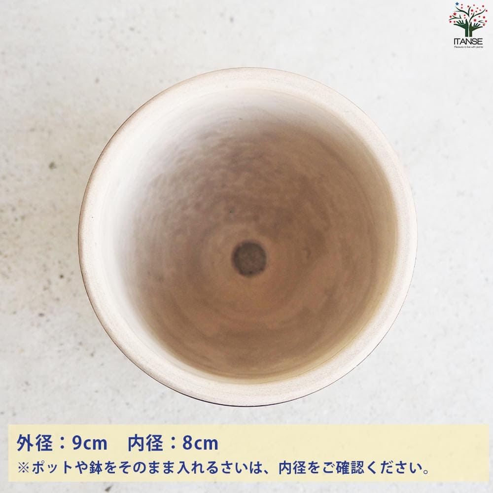 皿付陶器鉢 白峰【資材 9cm】