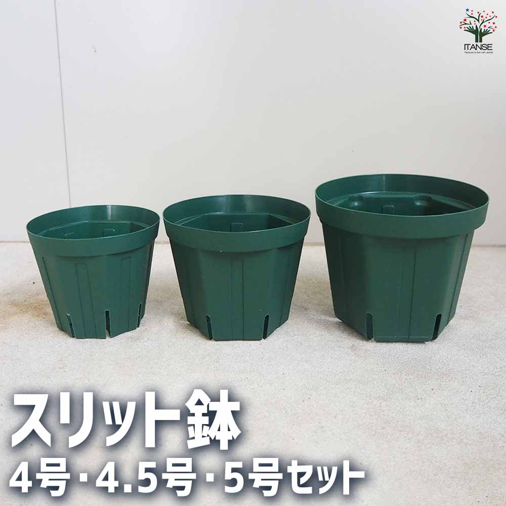 スリット鉢 【プラ鉢 4号 4.5号 5号セット】｜ 【植物のITANSE