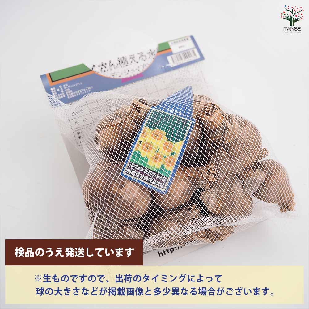 地球と花 チームラボ プラネッツ teamLab Planets TOKYO on X