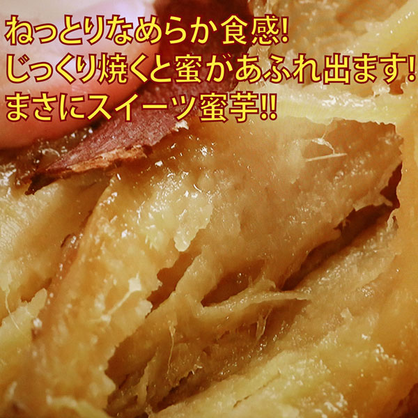 茨城県産 さつまいも 紅はるか【さつまいも MLサイズ 2024 秋 新芋 土付き お買い得】