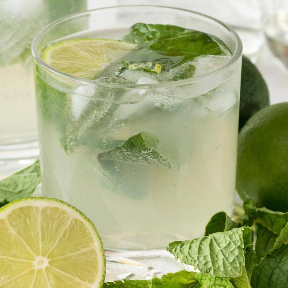 モヒートミント 10.5cm2個～【おうちで簡単！育てやすい10.5cmポットハーブ苗シリーズ！】