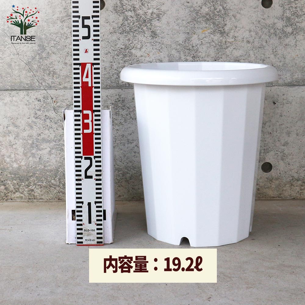 長鉢【資材 12号】