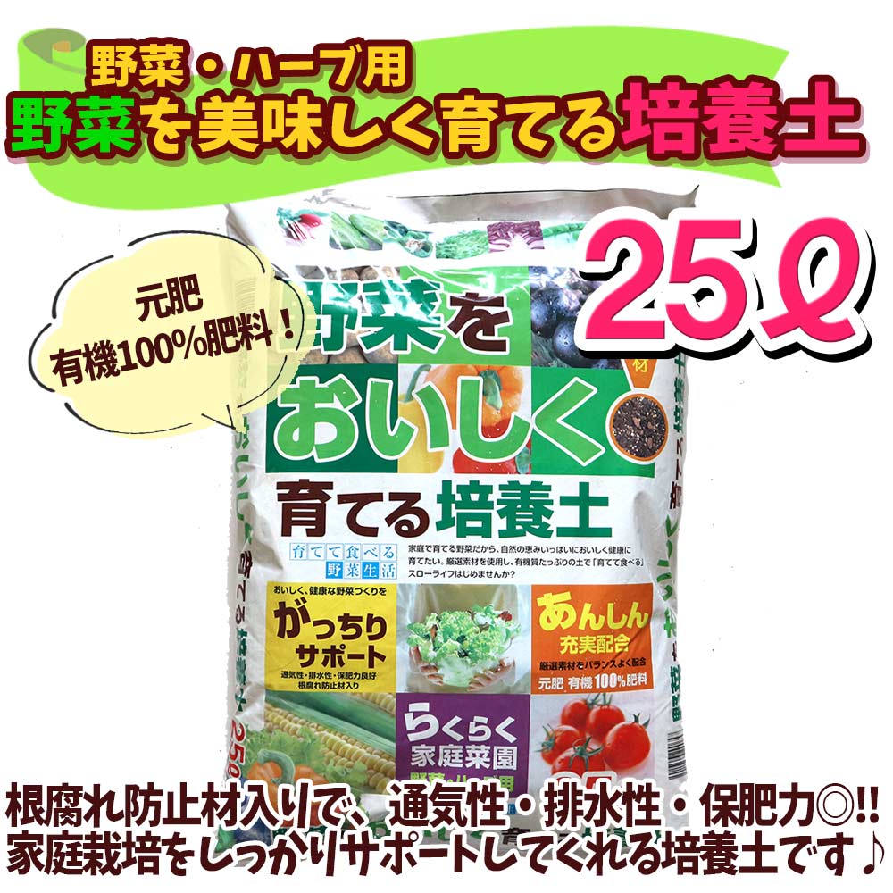 長鉢【資材 12号】