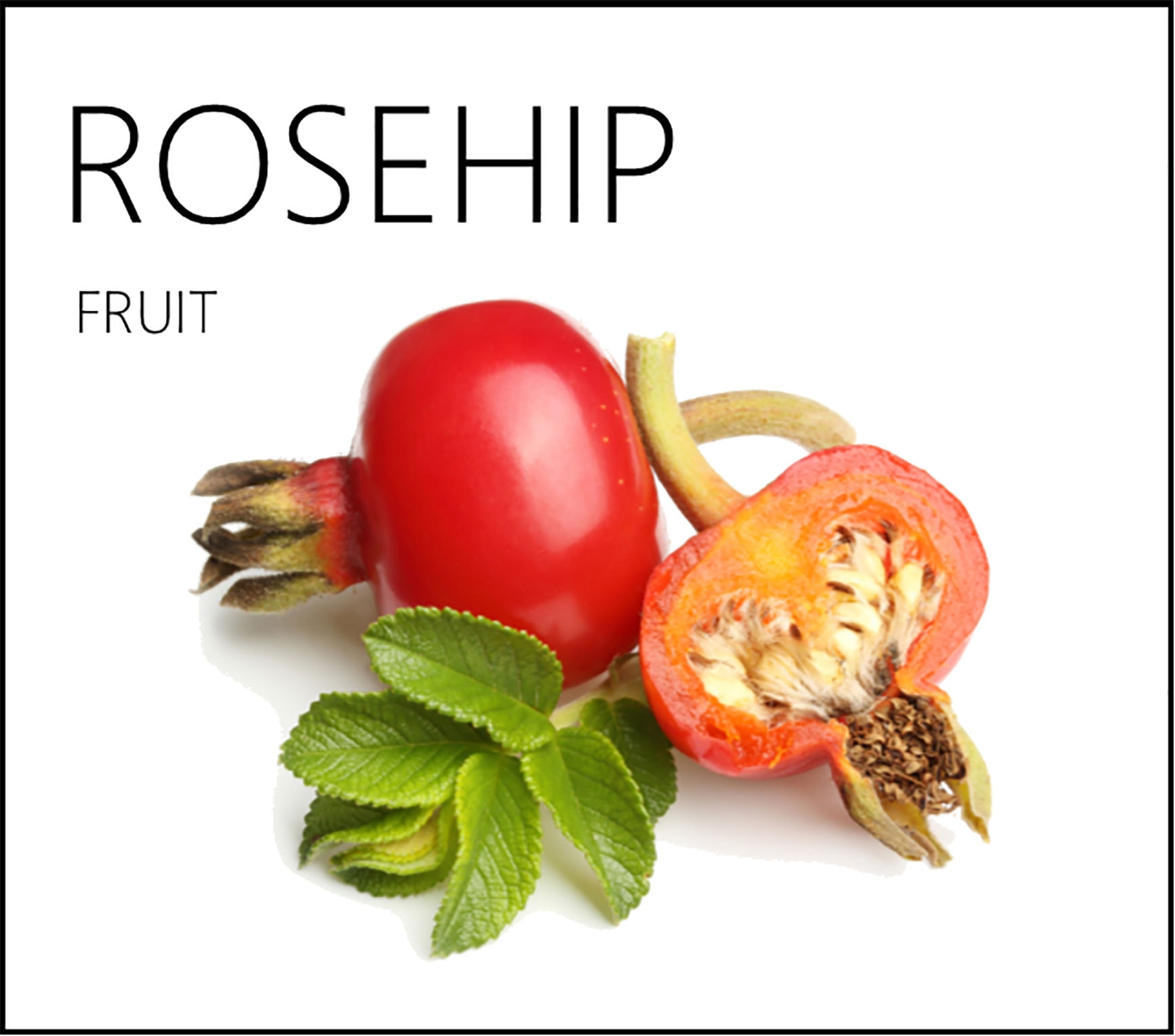 特価‼️バラの実❇️ローズヒップ❣️センセーショナルファンタジー 20本♪① 特価‼️バラの実❇️ローズヒップ❣️センセーショナル