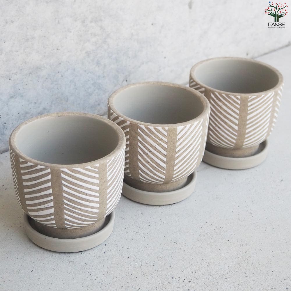 皿付陶器鉢 ヘリンボーン【資材 10cm】｜ 【植物のITANSE】全品