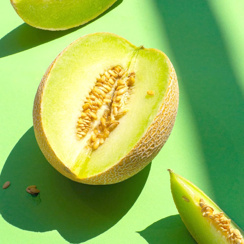 極甘緑肉ネットメロン(品種:アールスショパン)2個~【自根苗9cmポット】