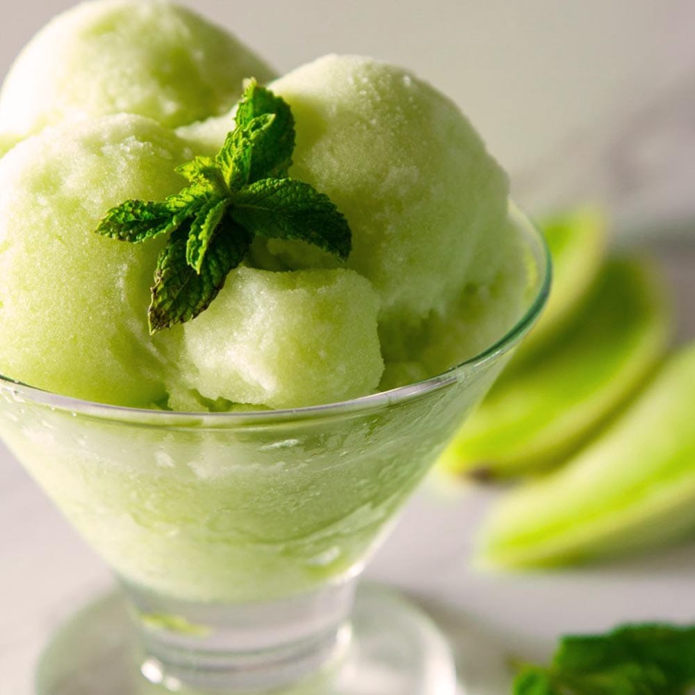 極甘緑肉ネットメロン(品種:アールスショパン)2個~【自根苗9cmポット】