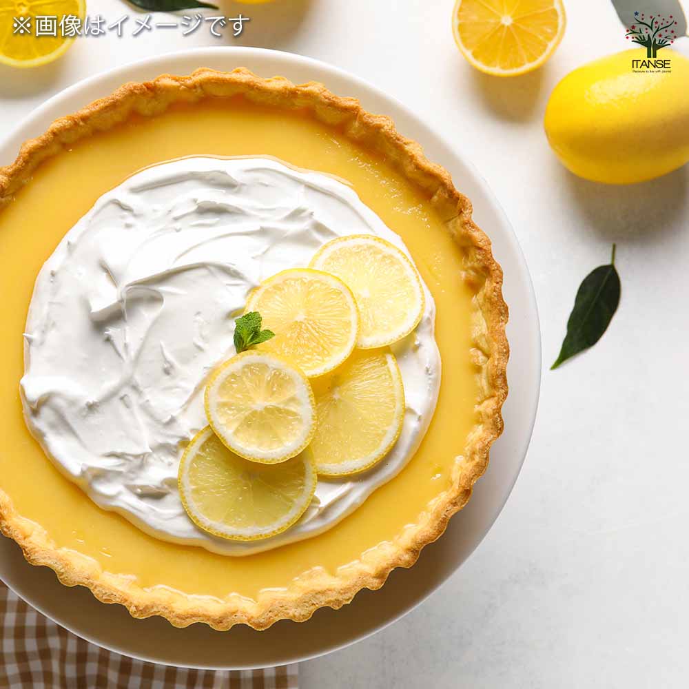 スイートレモネード 【果樹の苗木 7号鉢／1個売り】