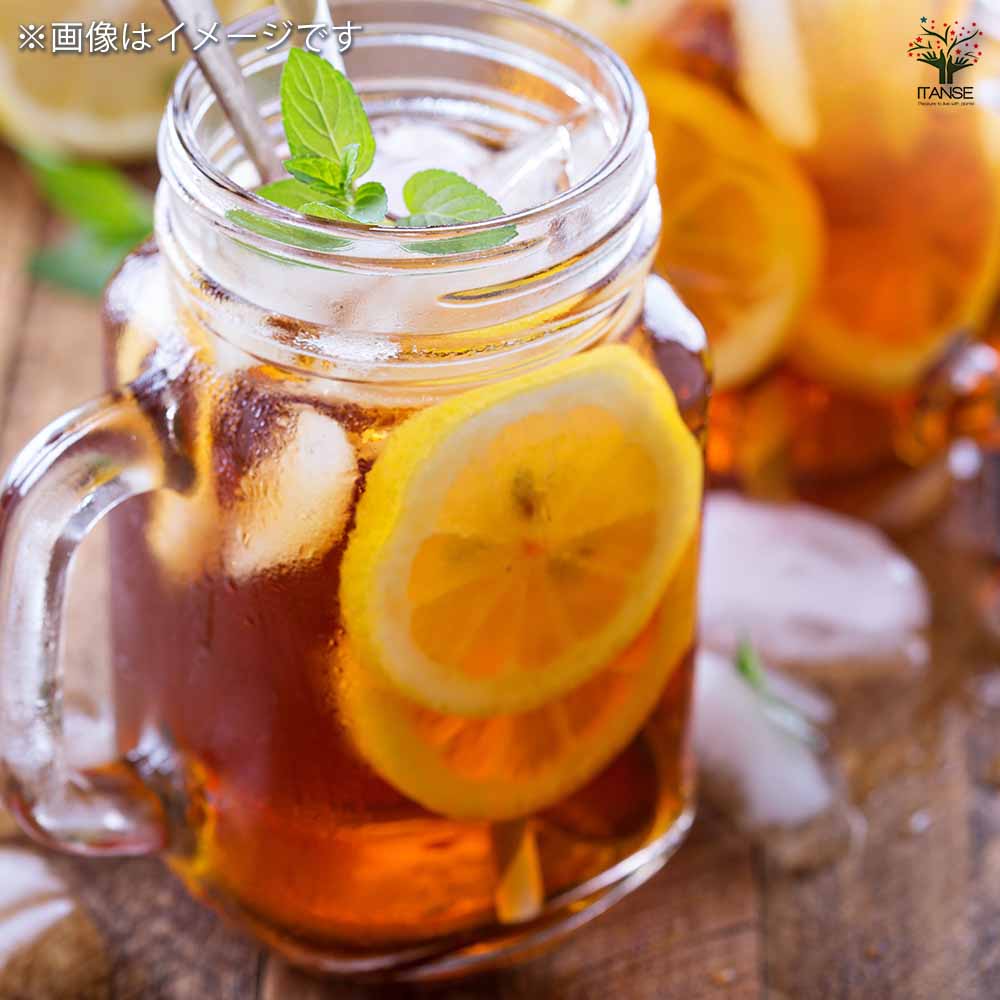 スイートレモネード 【果樹の苗木 7号鉢／1個売り】