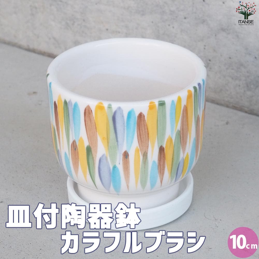 皿付陶器鉢 カラフルブラシ【資材 10cm】