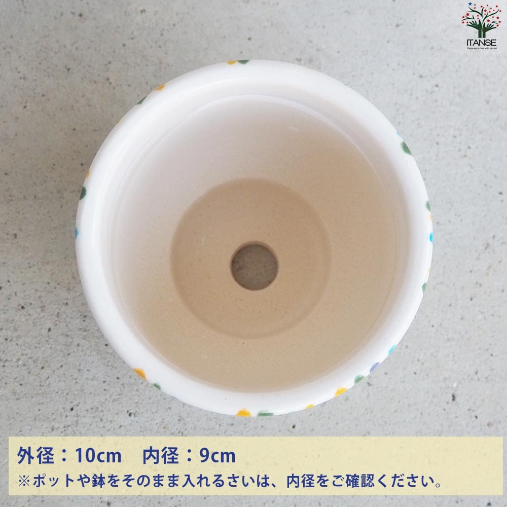 皿付陶器鉢 カラフルブラシ【資材 10cm】