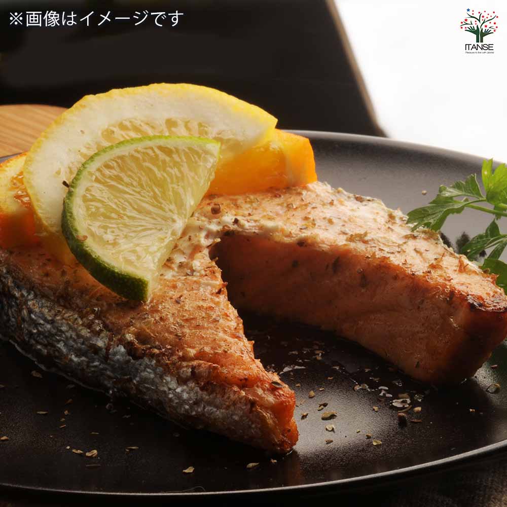 スイートレモネード 【果樹の苗木 8号鉢／1個売り】｜ 【植物の