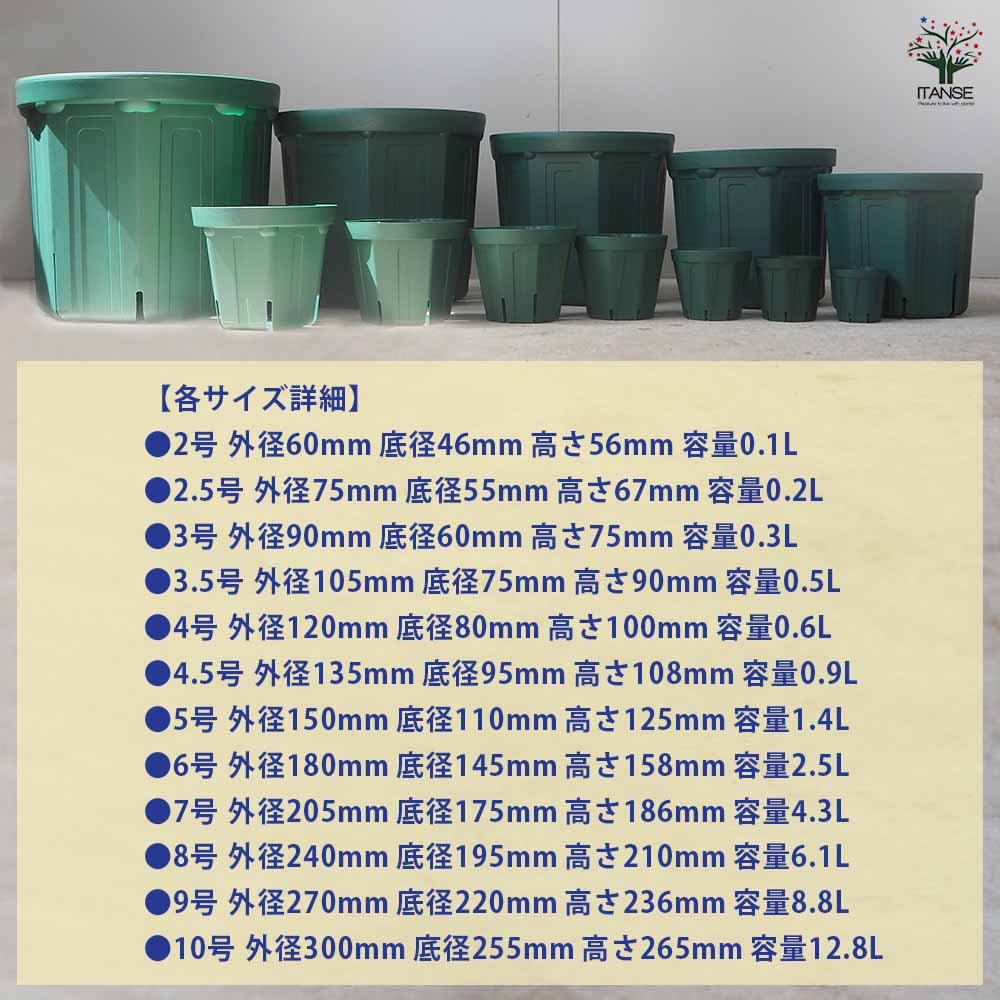 スリット鉢 2号～10号セット 【プラ鉢 12種類／各1個】｜ 【植物の