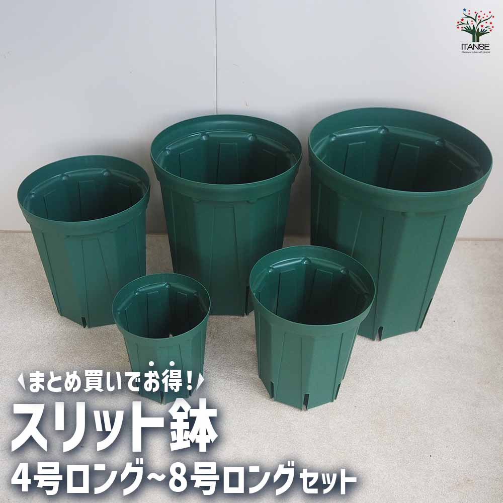 スリット鉢 4～8号ロングセット 【プラ鉢 5種類／各1個