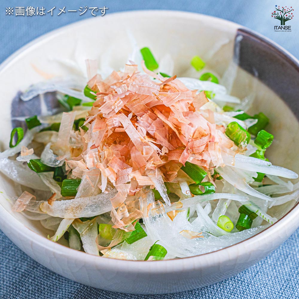 玉ねぎの苗 白玉ねぎ 【野菜の苗 3.5号】