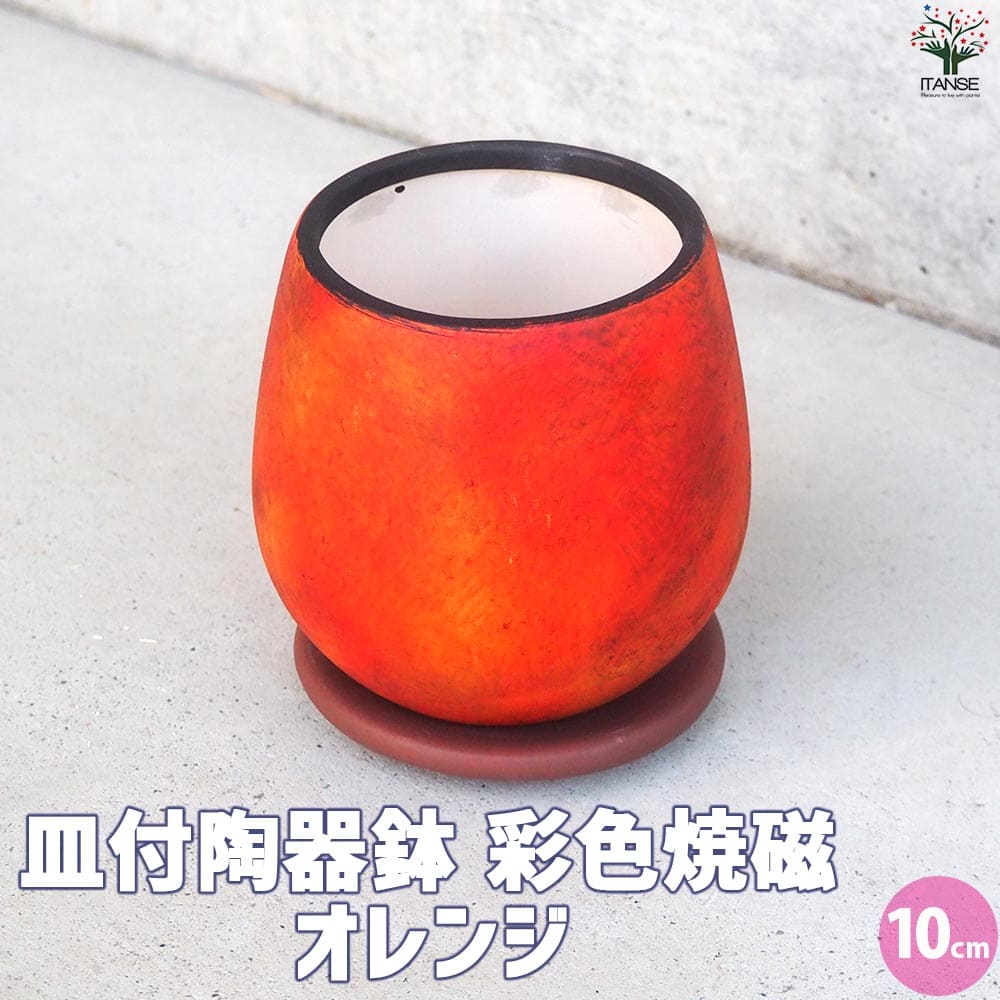 皿付陶器鉢 彩色焼磁 オレンジ【資材 10cm】