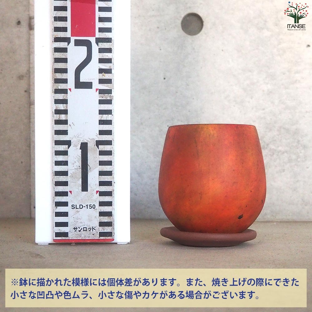 皿付陶器鉢 彩色焼磁 オレンジ【資材 10cm】