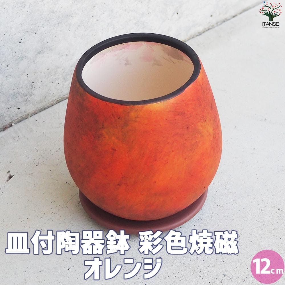 皿付陶器鉢 彩色焼磁 オレンジ【資材 12cm】