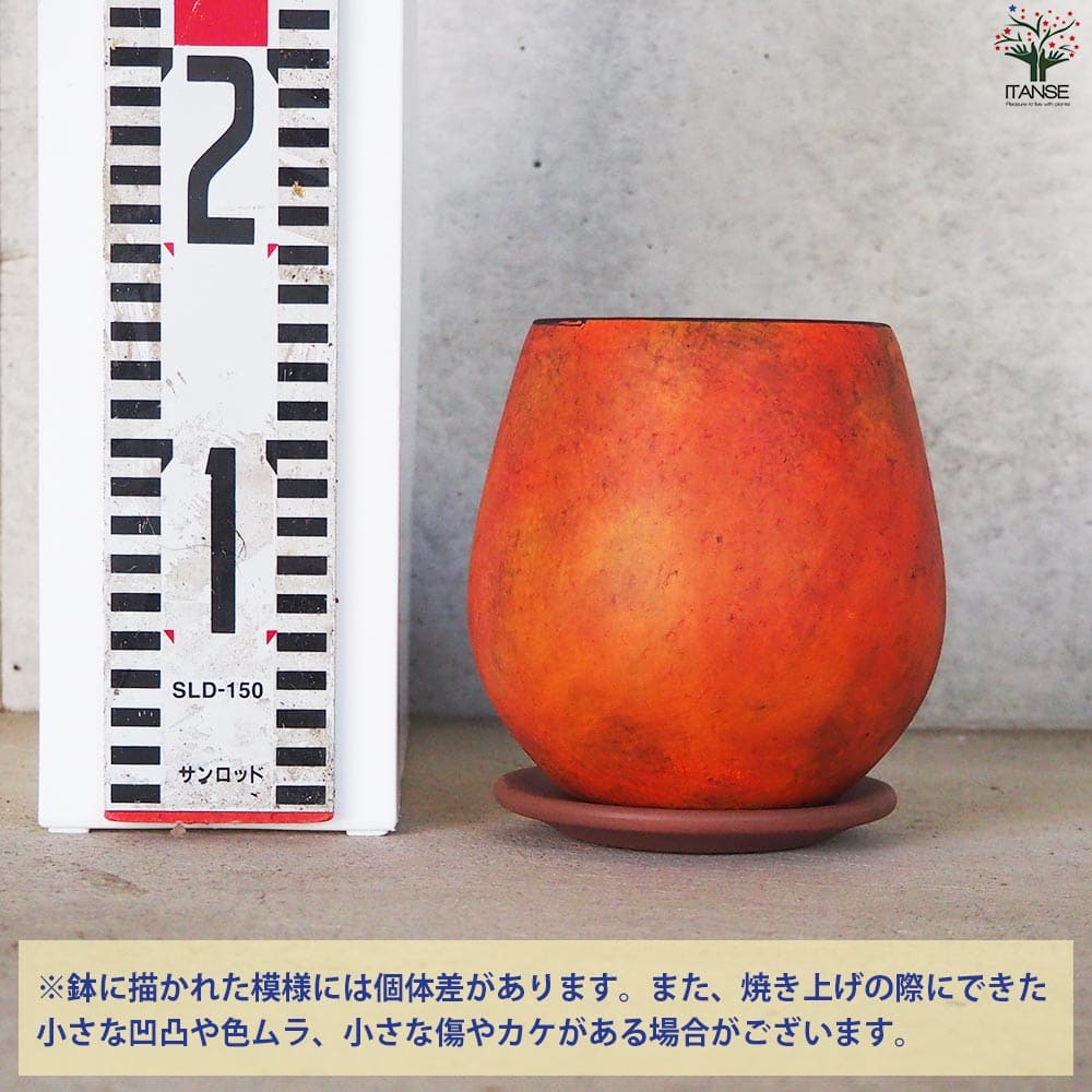 皿付陶器鉢 彩色焼磁 オレンジ【資材 12cm】