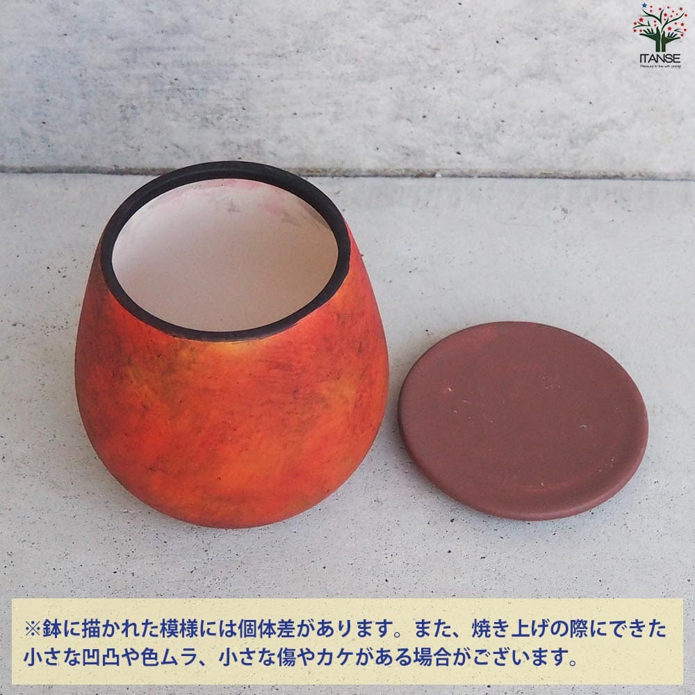 皿付陶器鉢 彩色焼磁 オレンジ【資材 12cm】