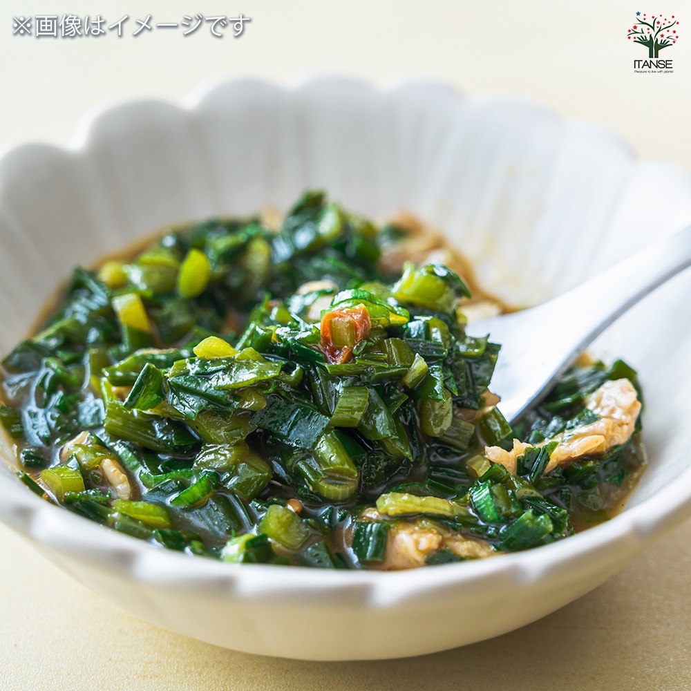 ニラ 2個～【野菜の苗 3号ポット】｜ 【植物のITANSE】全品送料