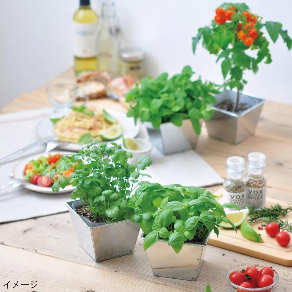 デリッシュガーデン ミント【栽培キット／1個】