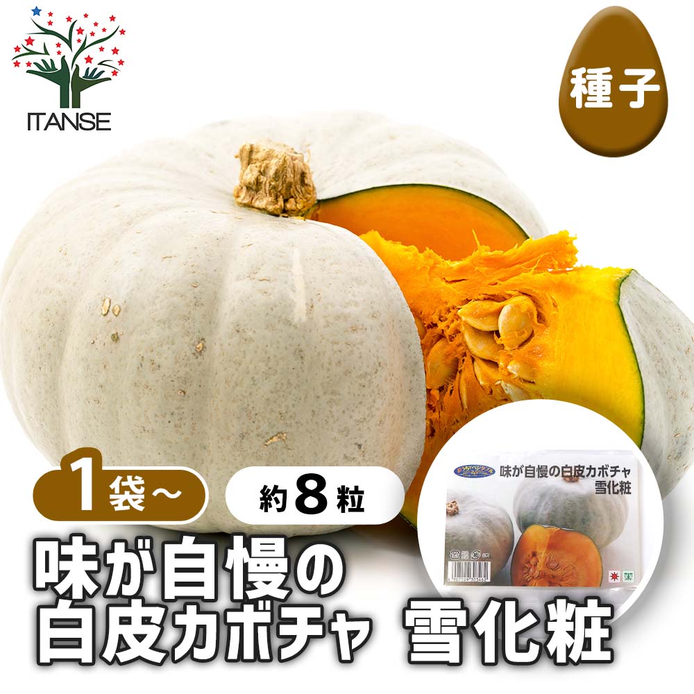 種子 味が自慢の白皮カボチャ 雪化粧  【 約8粒／1袋売り】