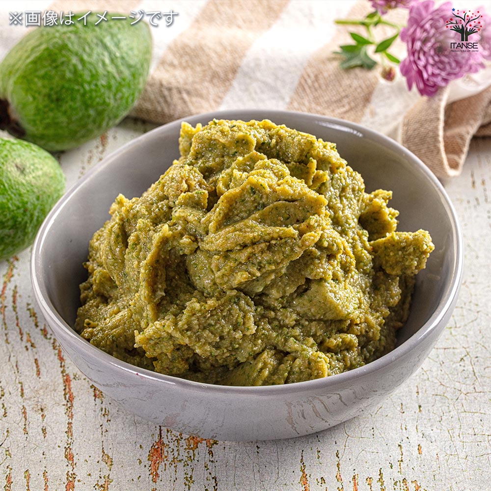 フェイジョア 【果樹の苗木 5号】｜ 【植物のITANSE】全品送料