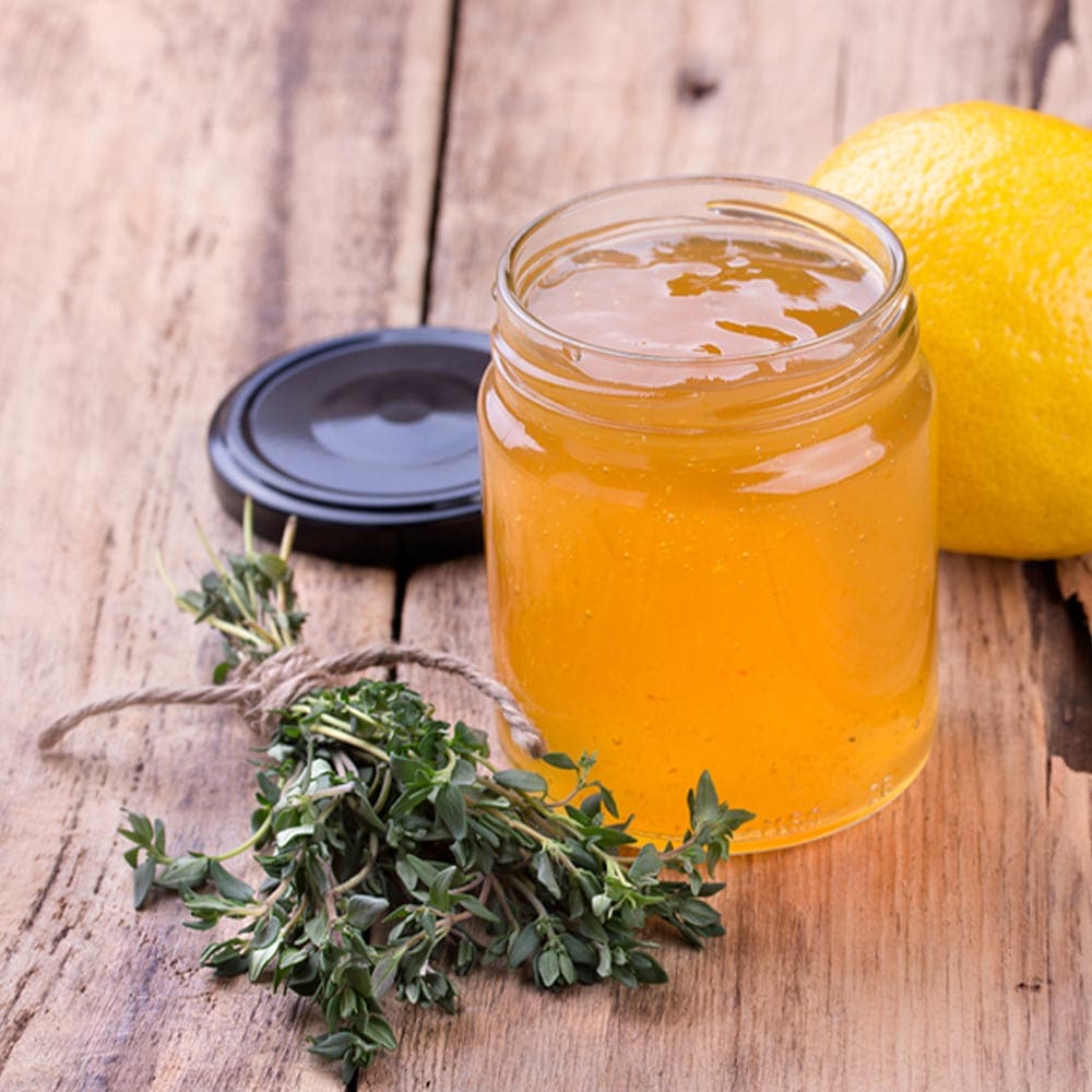 レモンタイム 10.5cm2個～【おうちで簡単！育てやすい10.5cmポットハーブ苗シリーズ！】