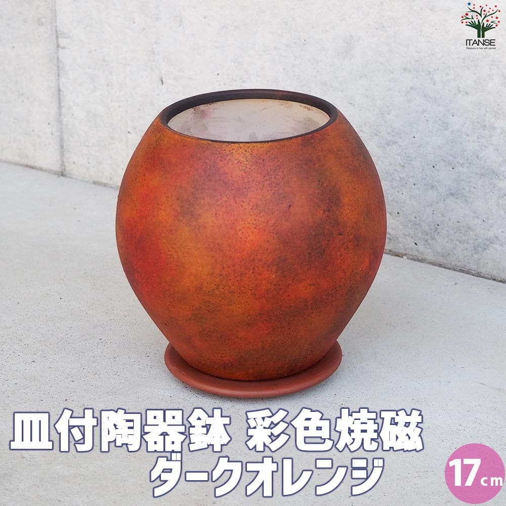 皿付陶器鉢 彩色焼磁 ダークオレンジ【資材 17cm】