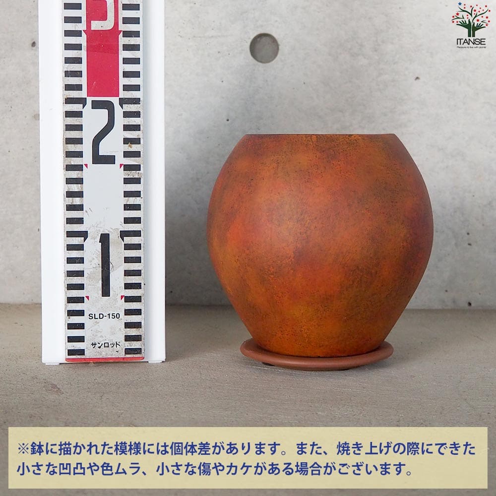 皿付陶器鉢 彩色焼磁 ダークオレンジ【資材 17cm】