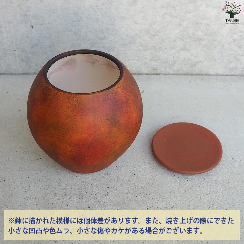 皿付陶器鉢 彩色焼磁 ダークオレンジ【資材 17cm】