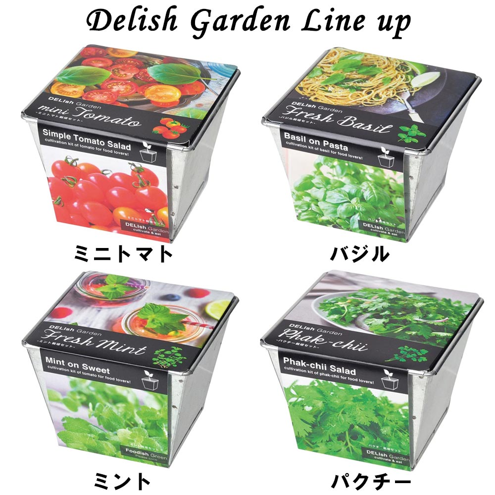 デリッシュガーデン バジル【栽培キット／1個】