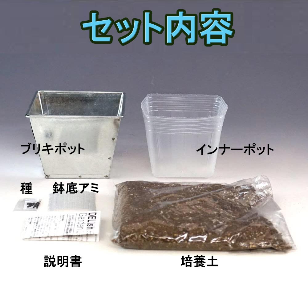 デリッシュガーデン バジル【栽培キット／1個】