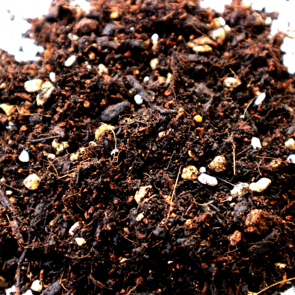 野菜・ハーブ用 培養土 野菜を美味しく育てる培養土【25L袋／1個】